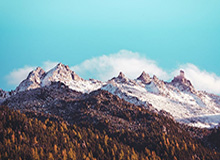 华体会下载-“衣中茅台”，征战巴黎奥运的比音勒芬一年卖了35亿