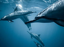 开云网站：让创意在云端起航